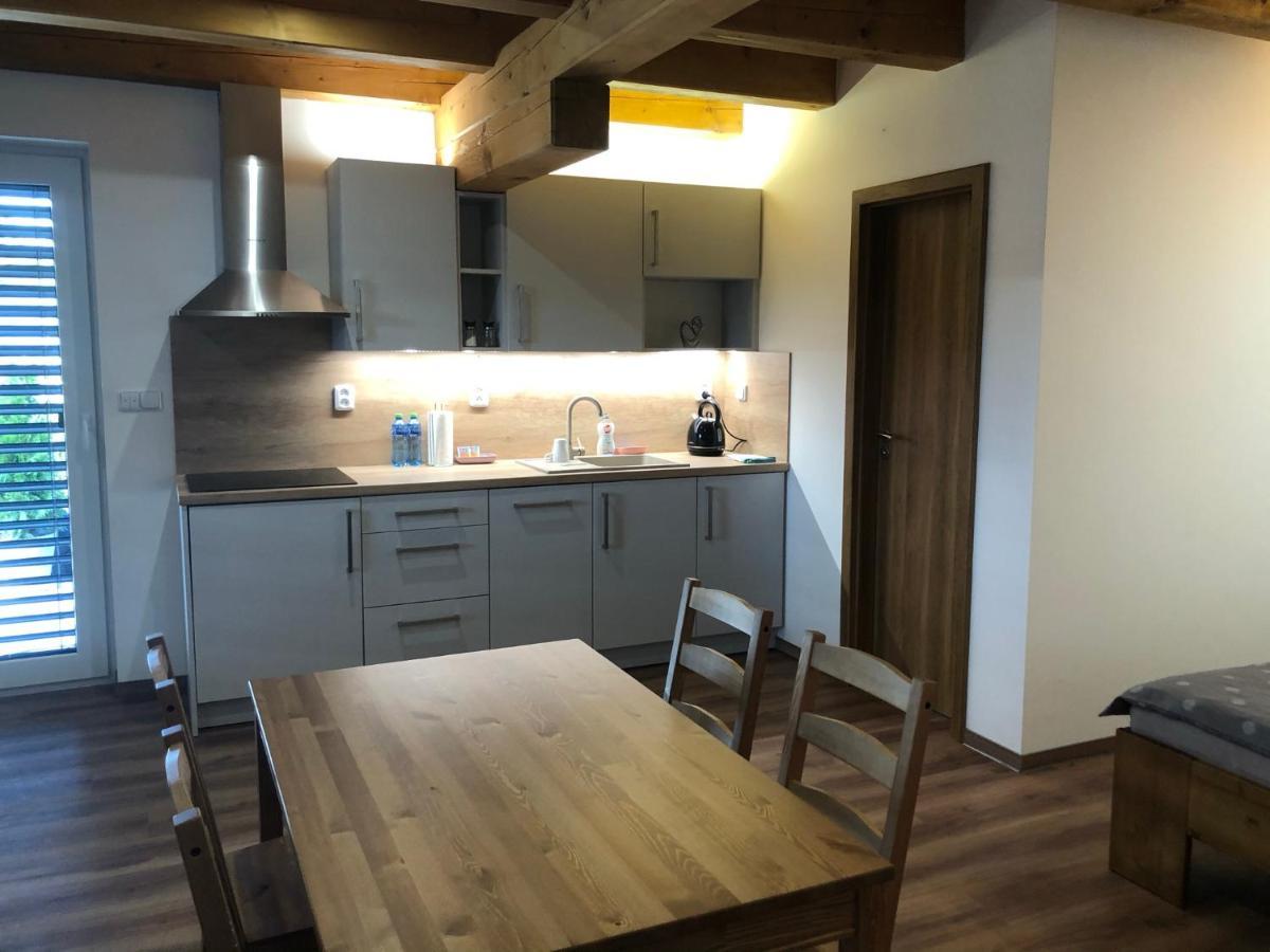 Anico Apartmany Dolni Benesov Exterior photo